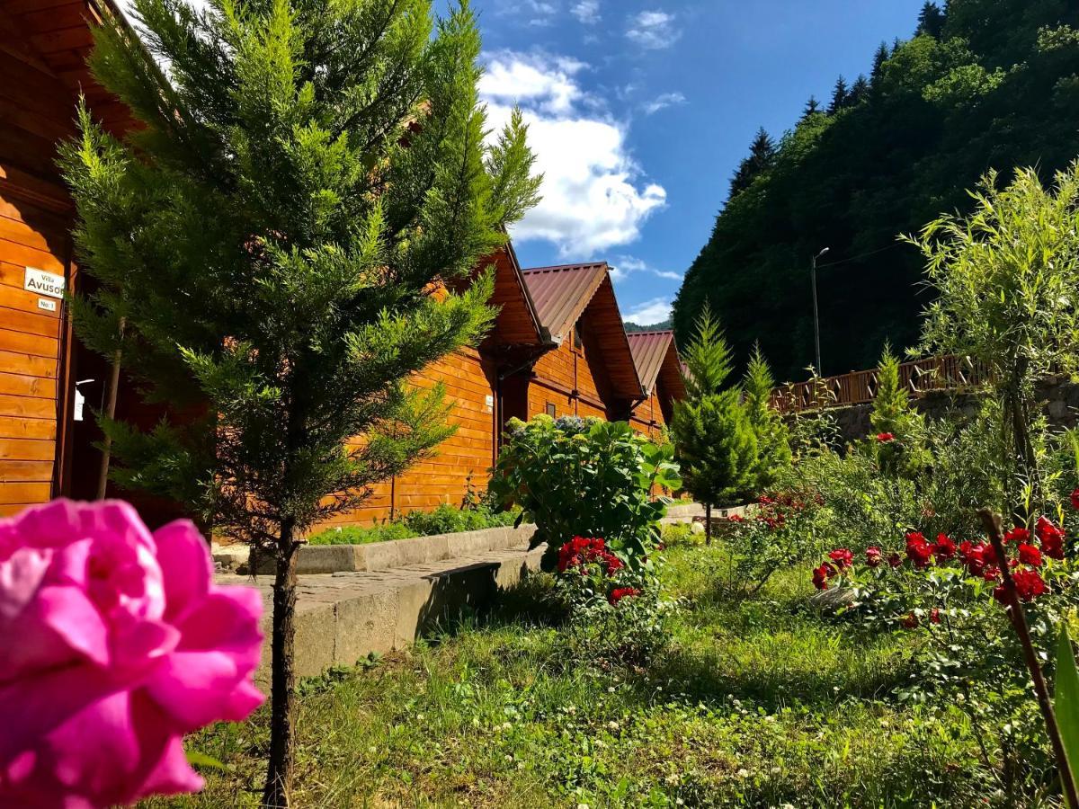Tuva Villa Bungalov Çamlıhemşin Dış mekan fotoğraf