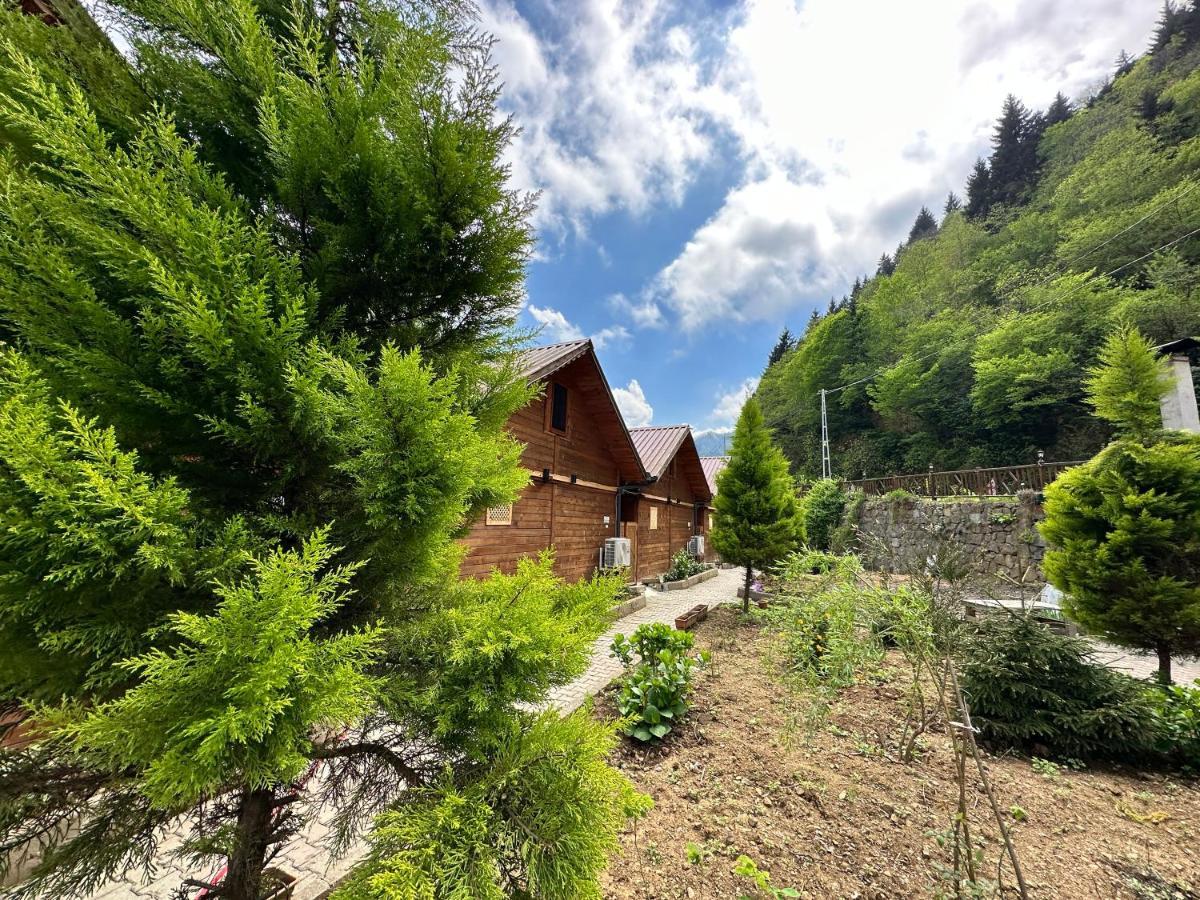 Tuva Villa Bungalov Çamlıhemşin Dış mekan fotoğraf